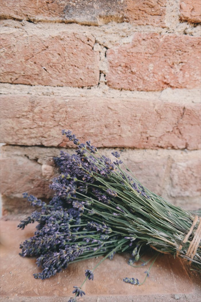 gallery-2 A bundle of fragrant lavender lies against a rustic red brick wall, evoking a sense of calm and natural beauty.