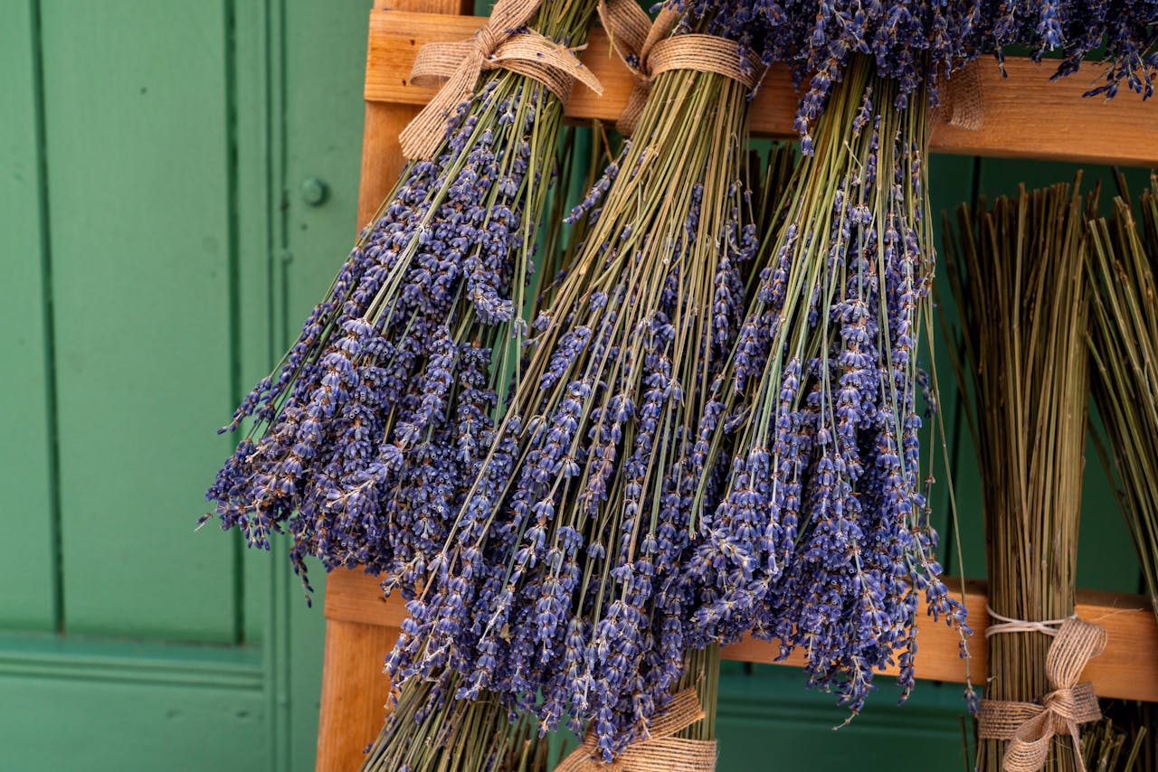 about-01 Bundles of dried lavender tied with burlap against a green wooden backdrop, showcasing rustic charm.