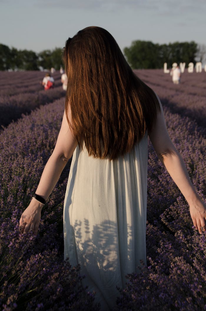 gallery-3 Back view of a woman in a lavender field, enjoying the sunset scenery. Nature and tranquility.