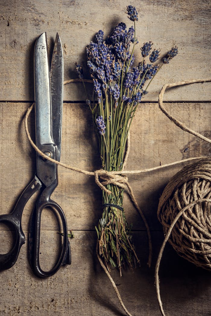 hero-img-01 Rustic still life of lavender flowers with scissors and twine on a wooden table.